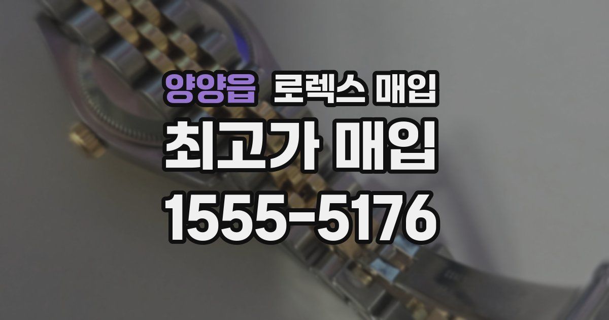 양양읍 로렉스 매입