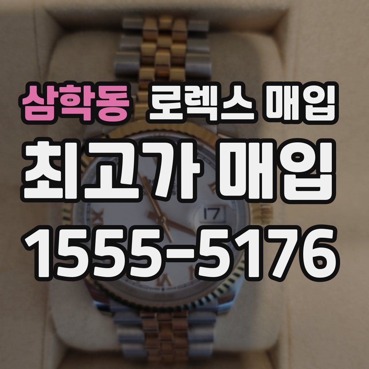 삼학동 로렉스 매입