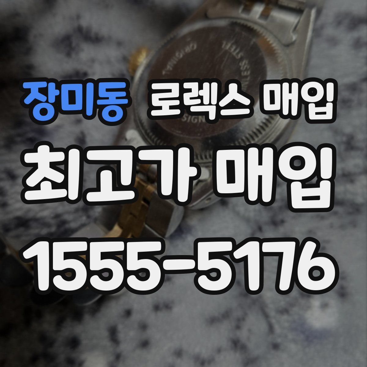 장미동 로렉스 매입