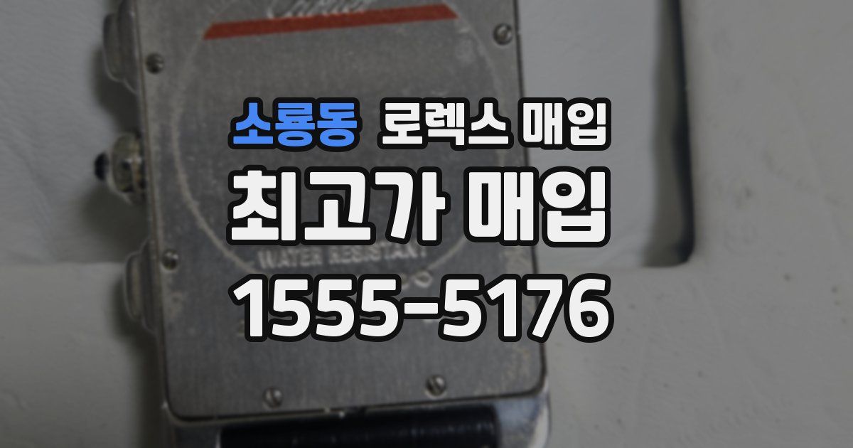 소룡동 로렉스 매입