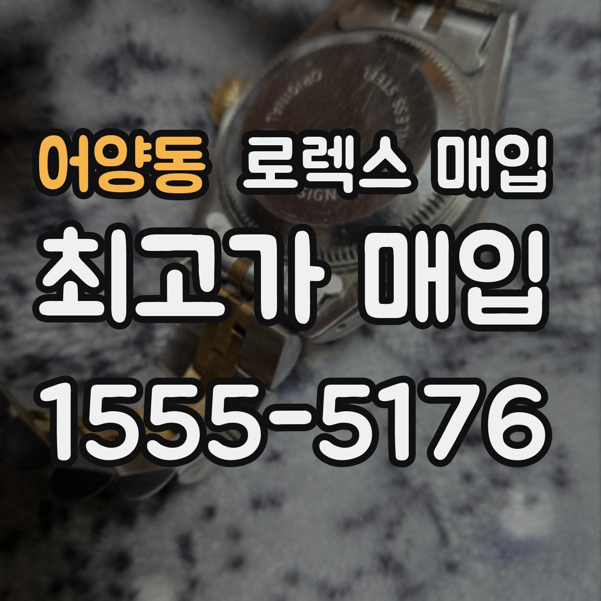 어양동 로렉스 매입