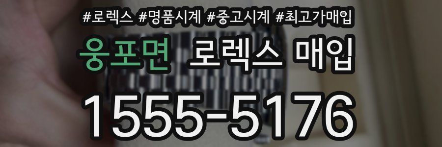 웅포면 로렉스 매입