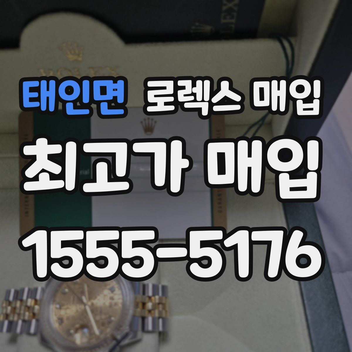 태인면 로렉스 매입