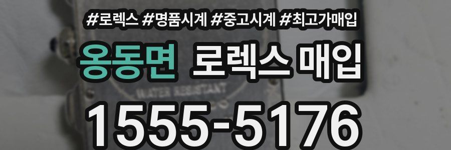 옹동면 로렉스 매입