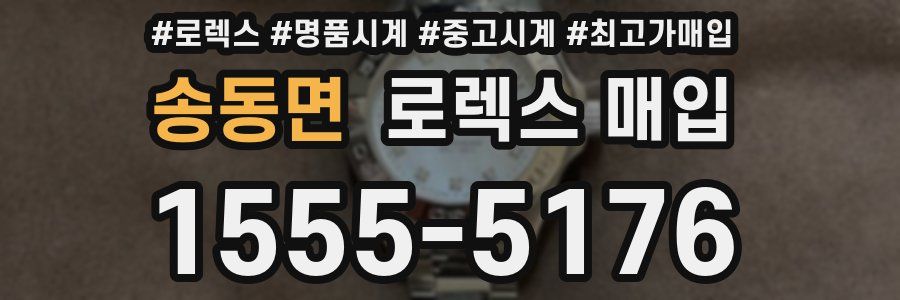 송동면 로렉스 매입