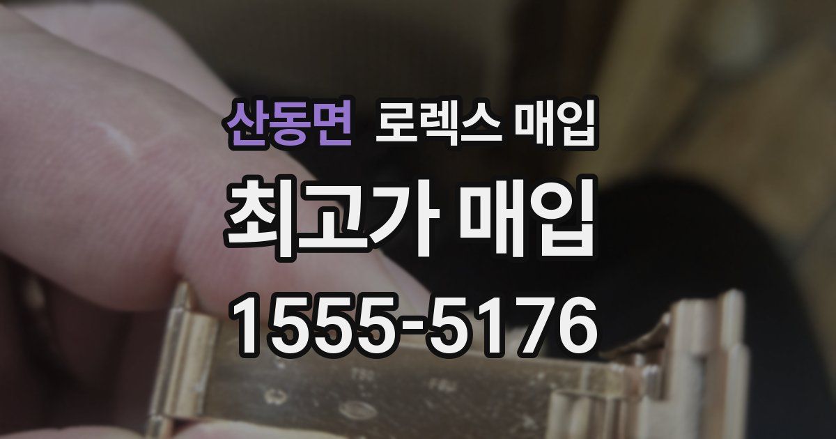 산동면 로렉스 매입