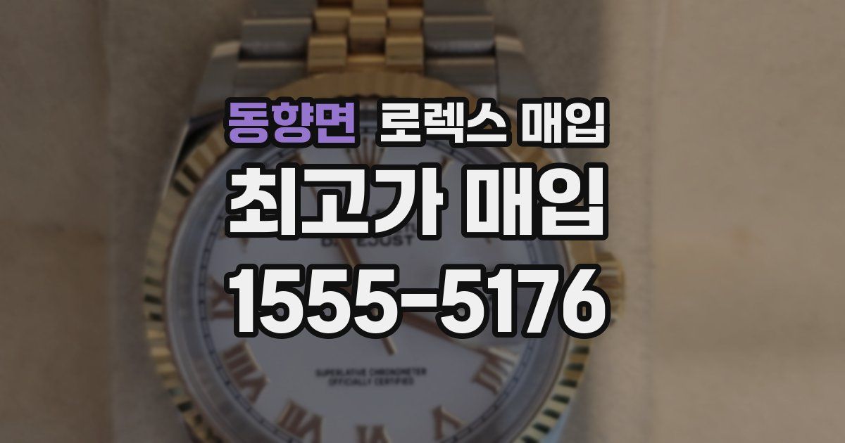 동향면 로렉스 매입