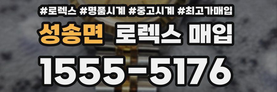 성송면 로렉스 매입
