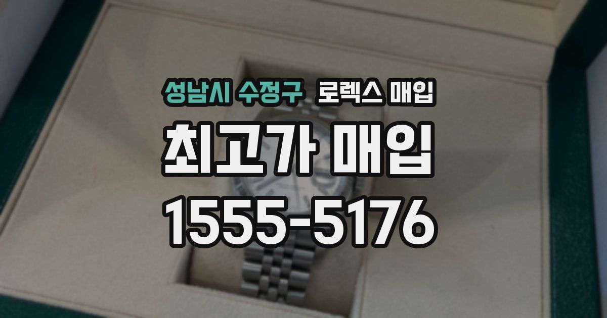 성남시 수정구 로렉스 매입