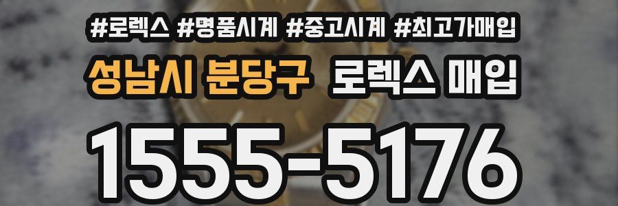 성남시 분당구 로렉스 매입