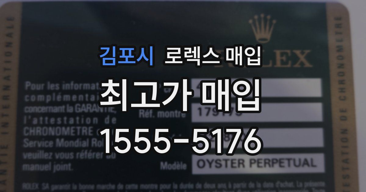 김포시 로렉스 매입