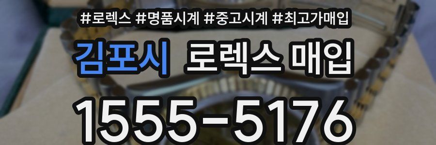 김포시 로렉스 매입