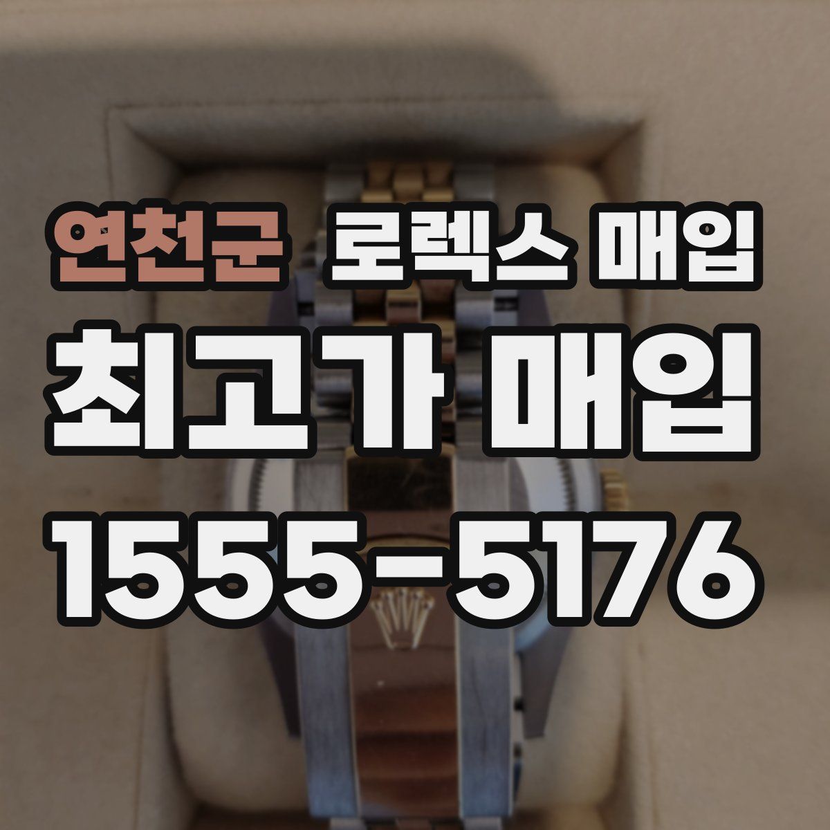 연천군 로렉스 매입