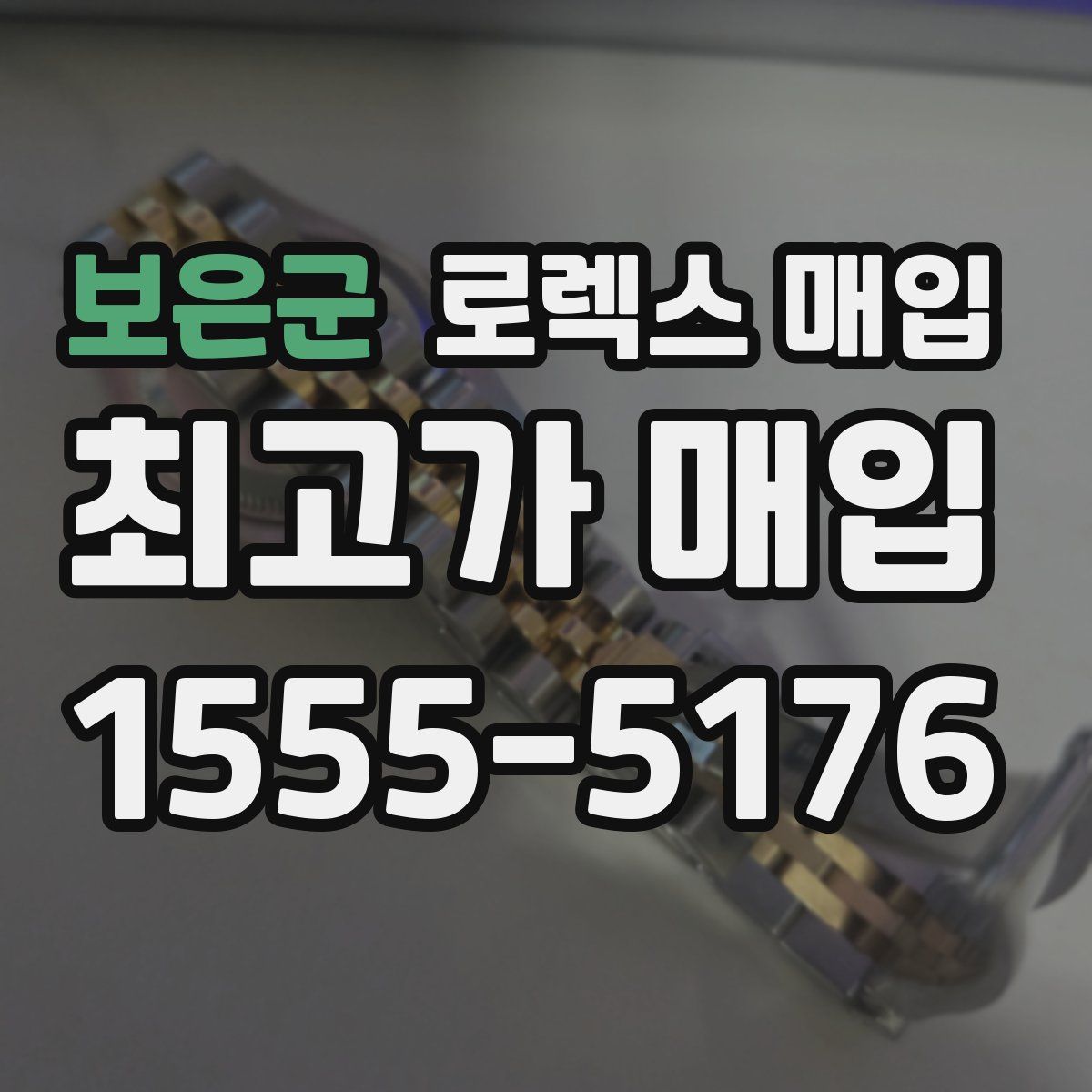 보은군 로렉스 매입