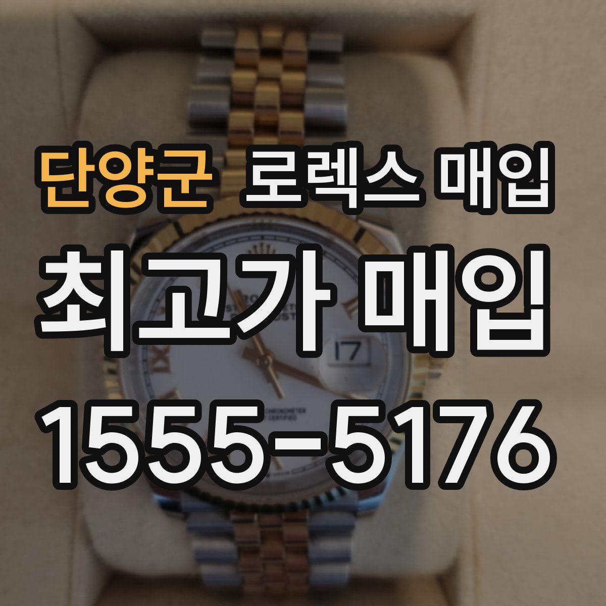 단양군 로렉스 매입