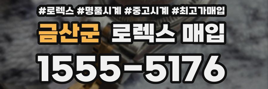 금산군 로렉스 매입