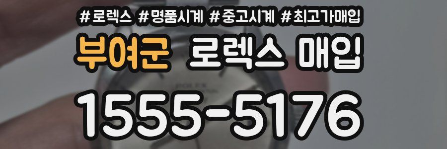 부여군 로렉스 매입
