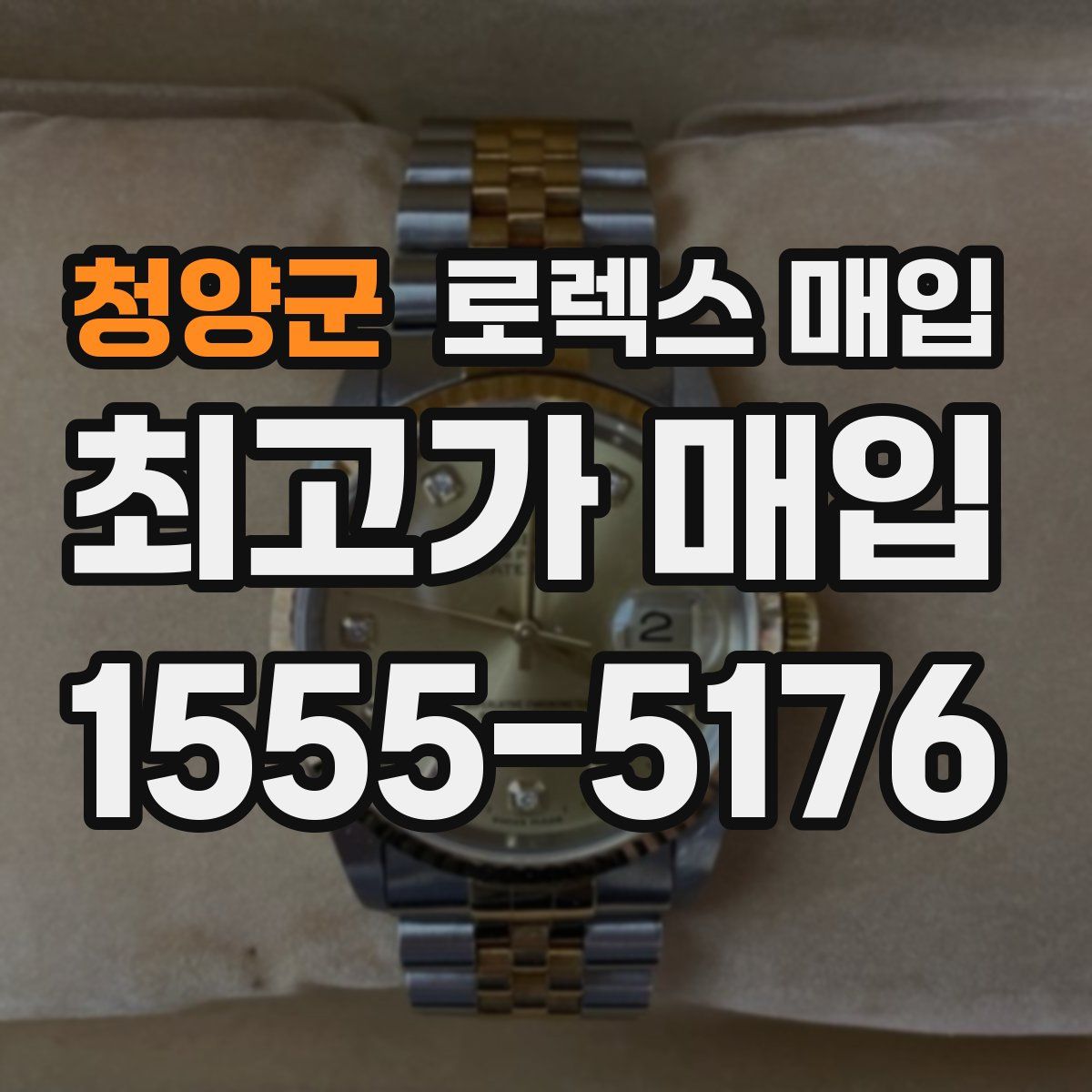 청양군 로렉스 매입