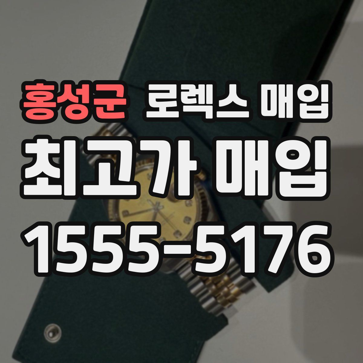 홍성군 로렉스 매입