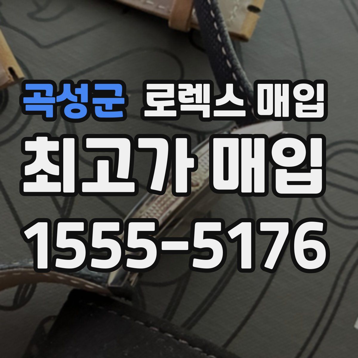 곡성군 로렉스 매입