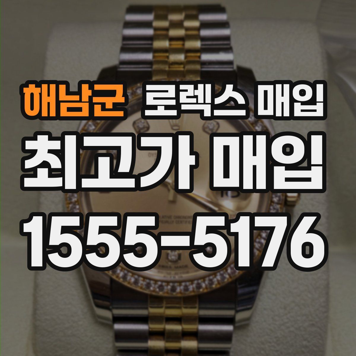 해남군 로렉스 매입