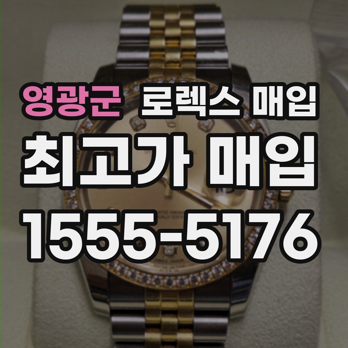 영광군 로렉스 매입