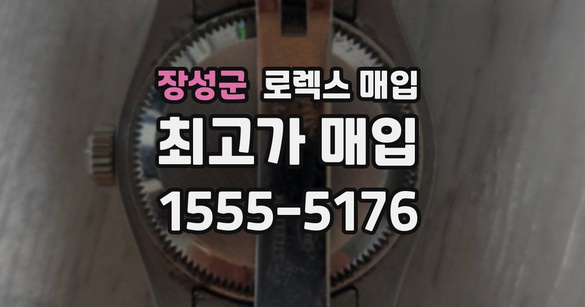 장성군 로렉스 매입