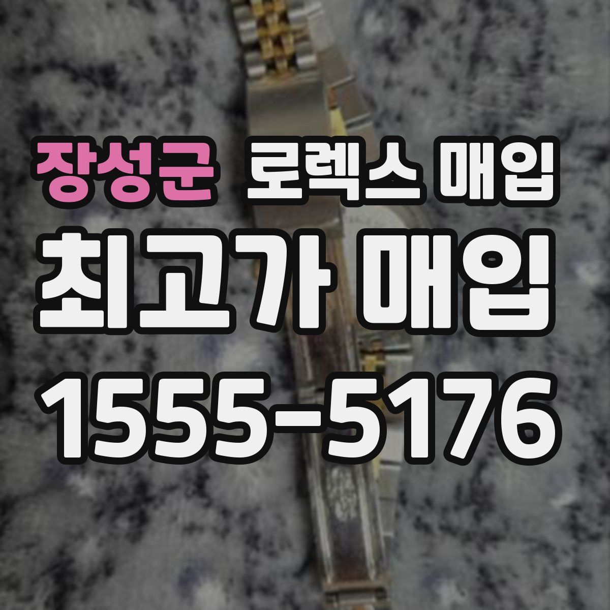 장성군 로렉스 매입