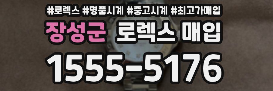 장성군 로렉스 매입