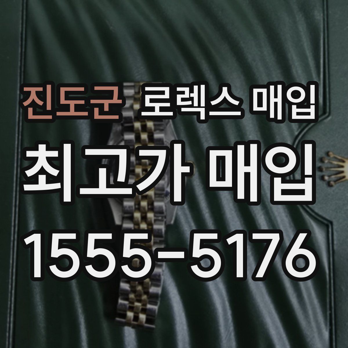 진도군 로렉스 매입