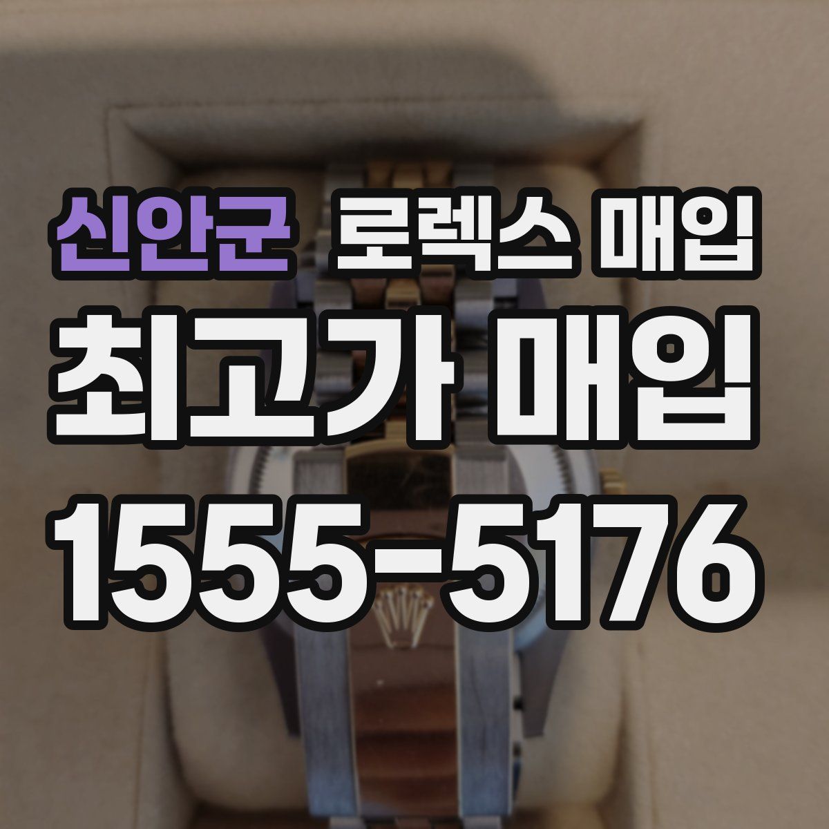 신안군 로렉스 매입