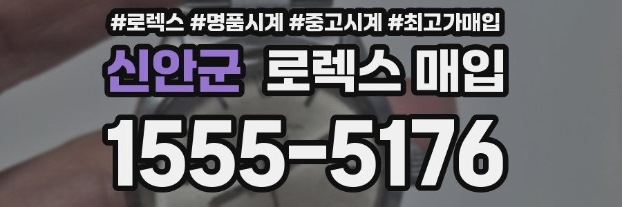 신안군 로렉스 매입