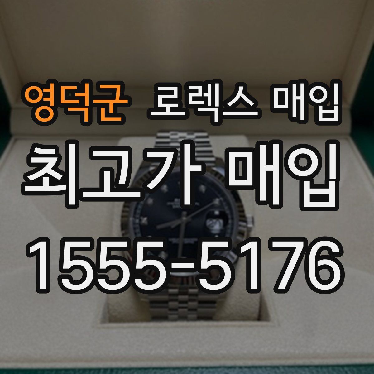 영덕군 로렉스 매입