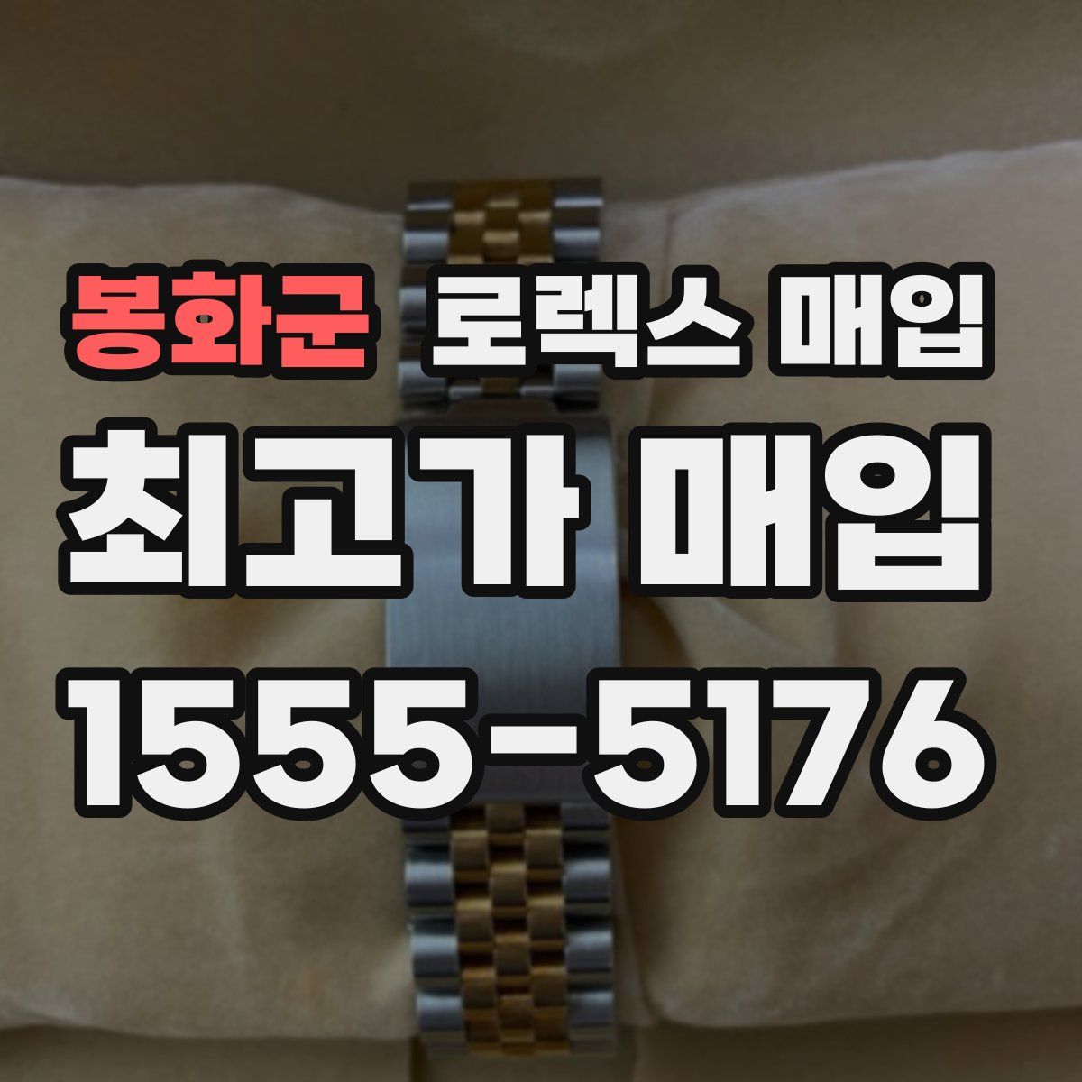 봉화군 로렉스 매입