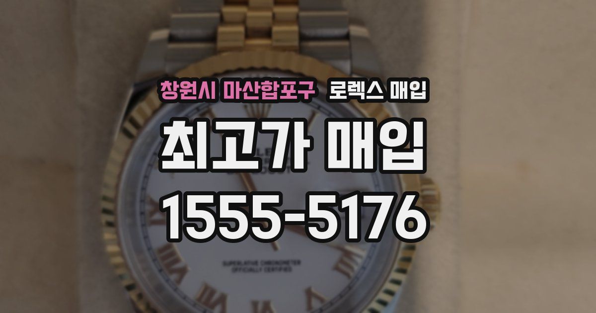 창원시 마산합포구 로렉스 매입