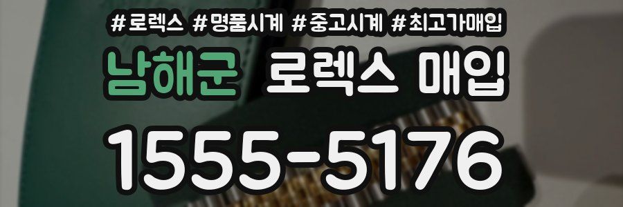 남해군 로렉스 매입