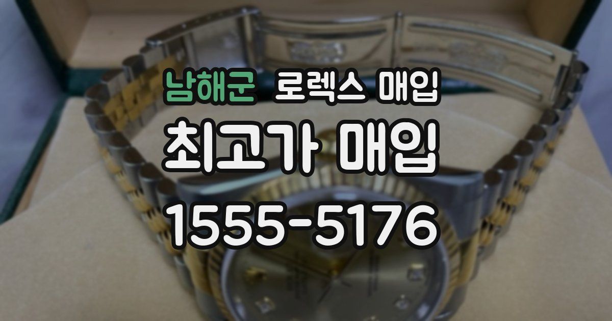 남해군 로렉스 매입