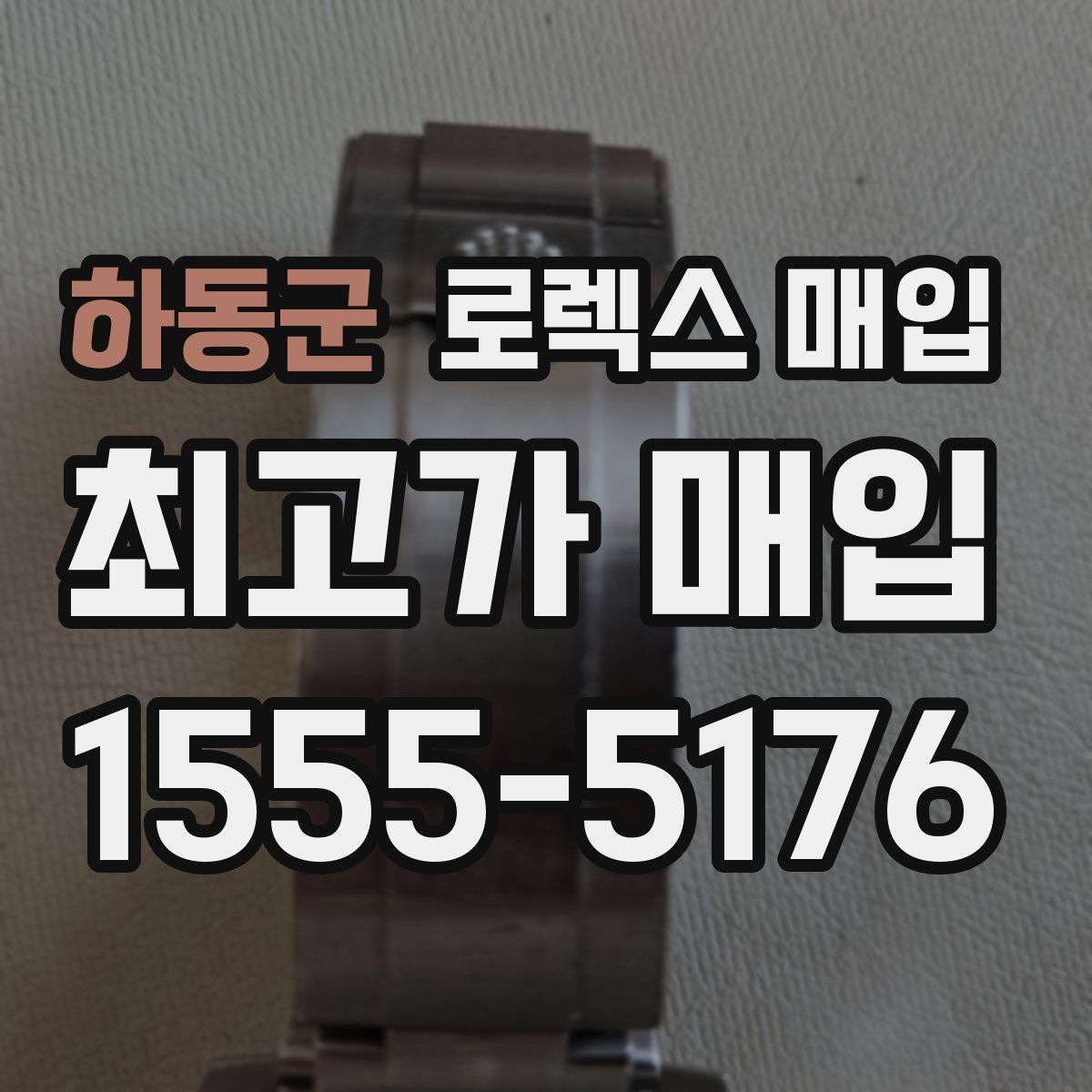 하동군 로렉스 매입