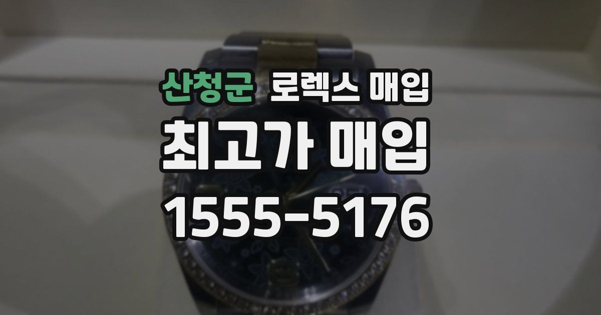 산청군 로렉스 매입