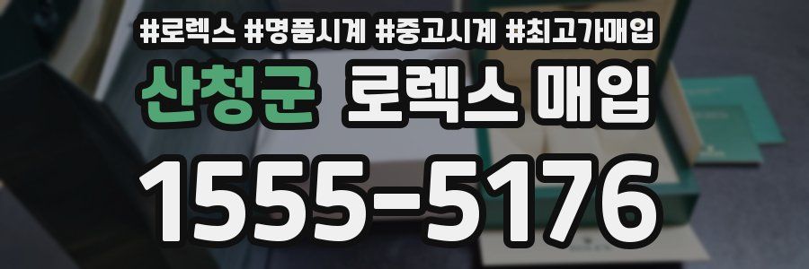 산청군 로렉스 매입
