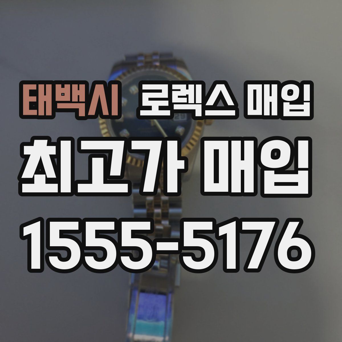 태백시 로렉스 매입