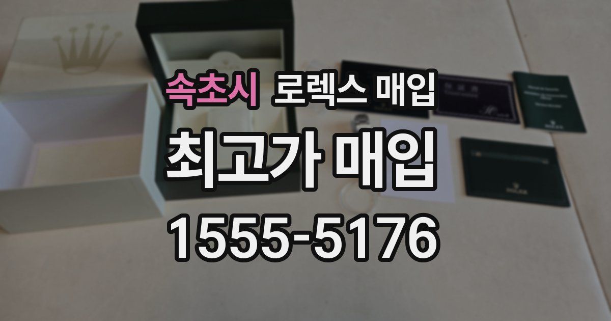 속초시 로렉스 매입