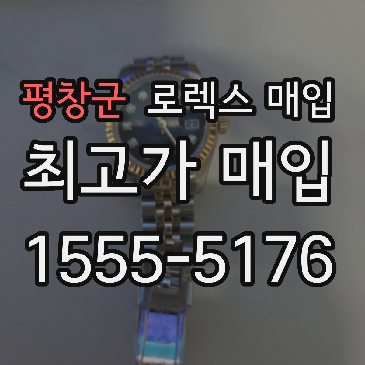 평창군 로렉스 매입