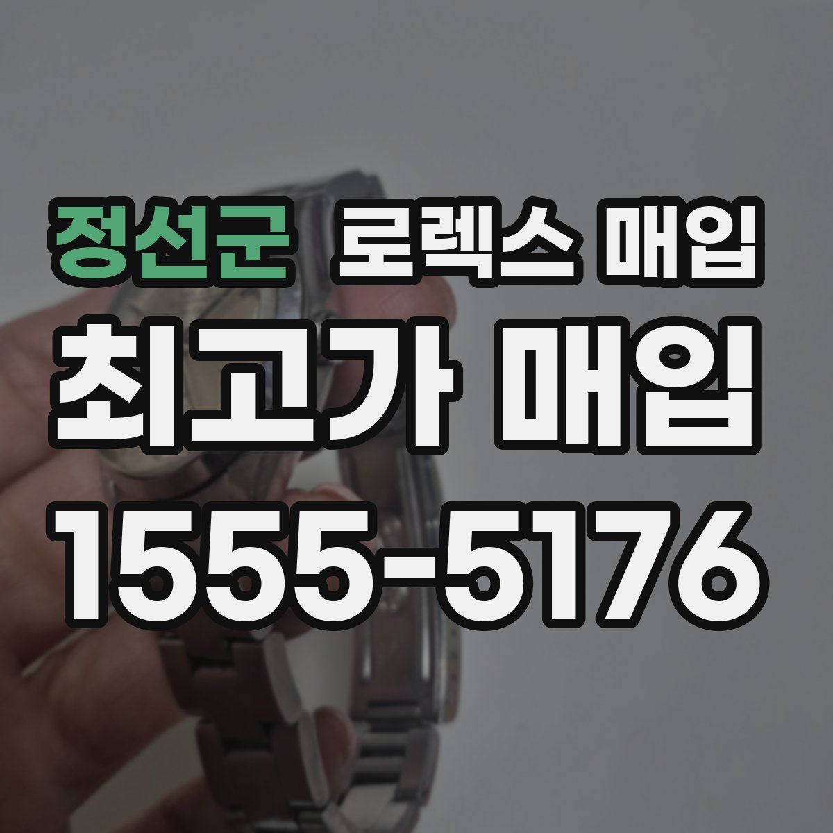 정선군 로렉스 매입