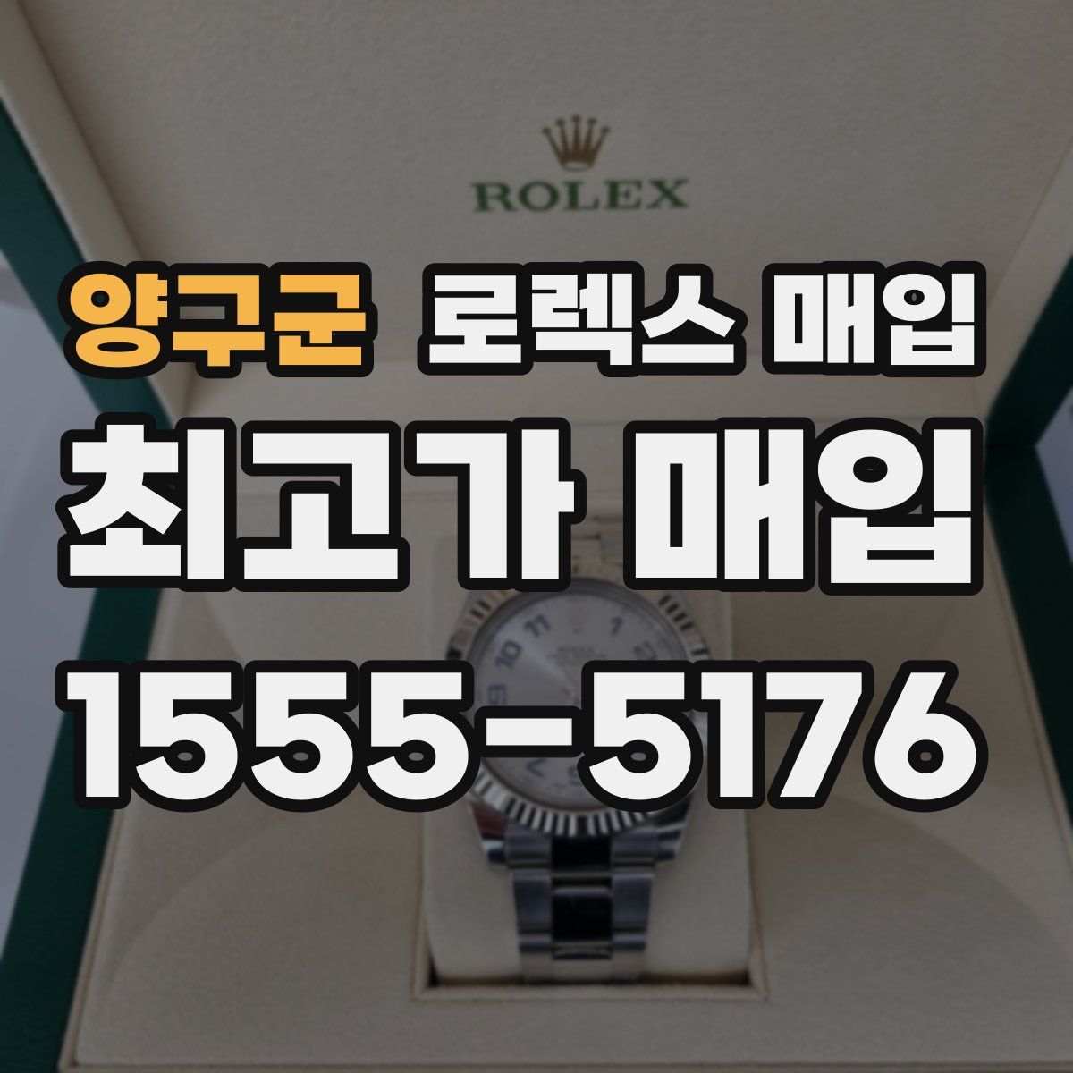 양구군 로렉스 매입