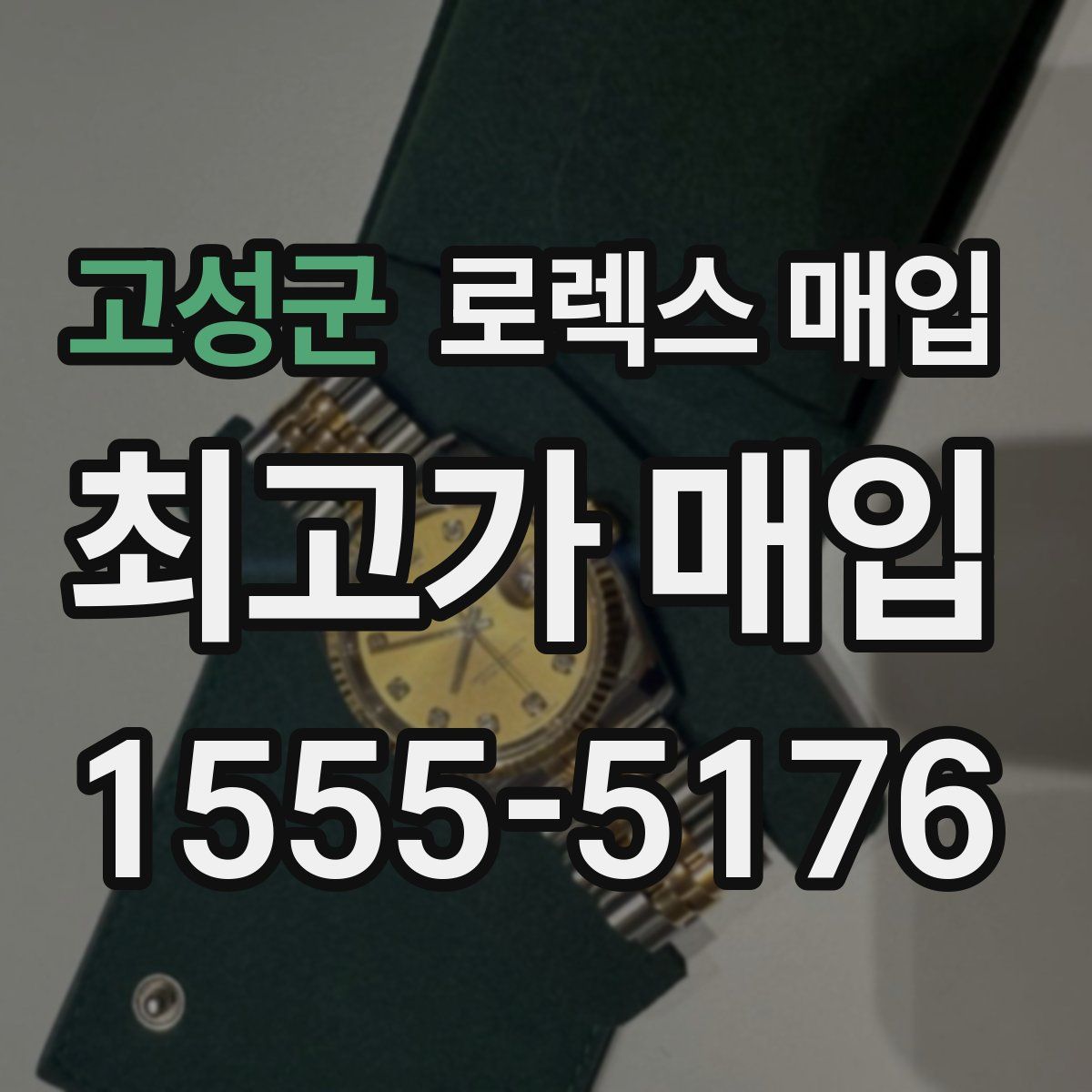 고성군 로렉스 매입