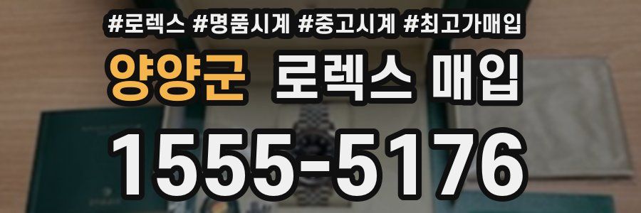 양양군 로렉스 매입