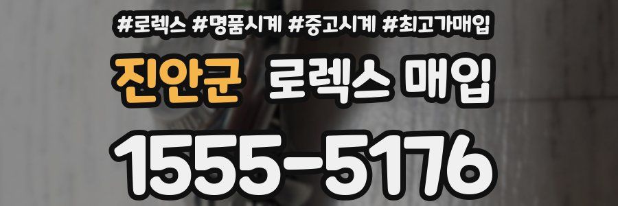 진안군 로렉스 매입