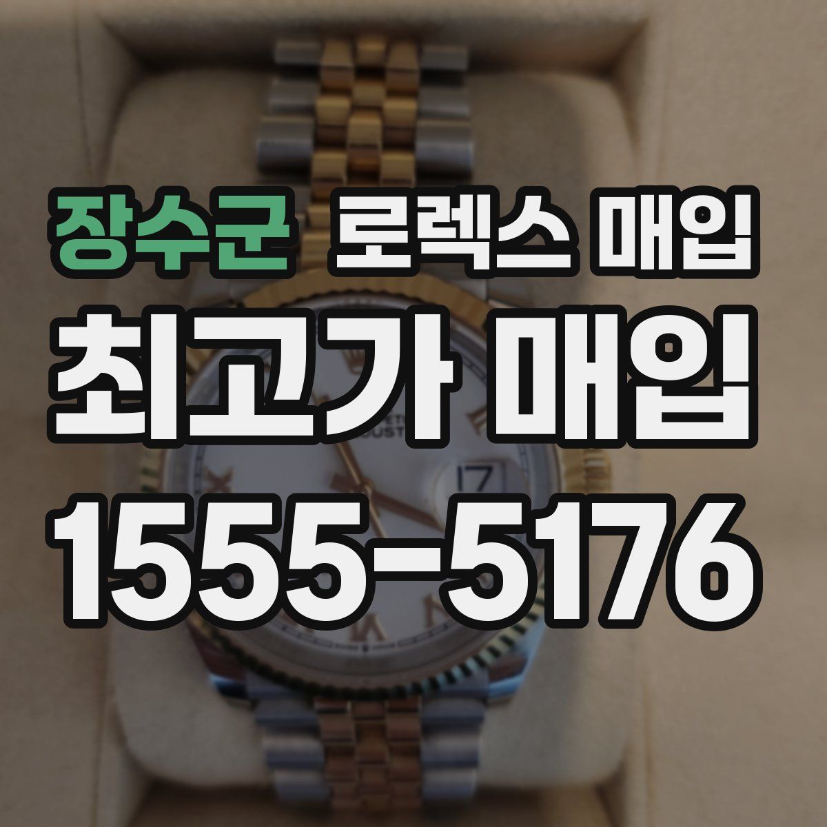 장수군 로렉스 매입