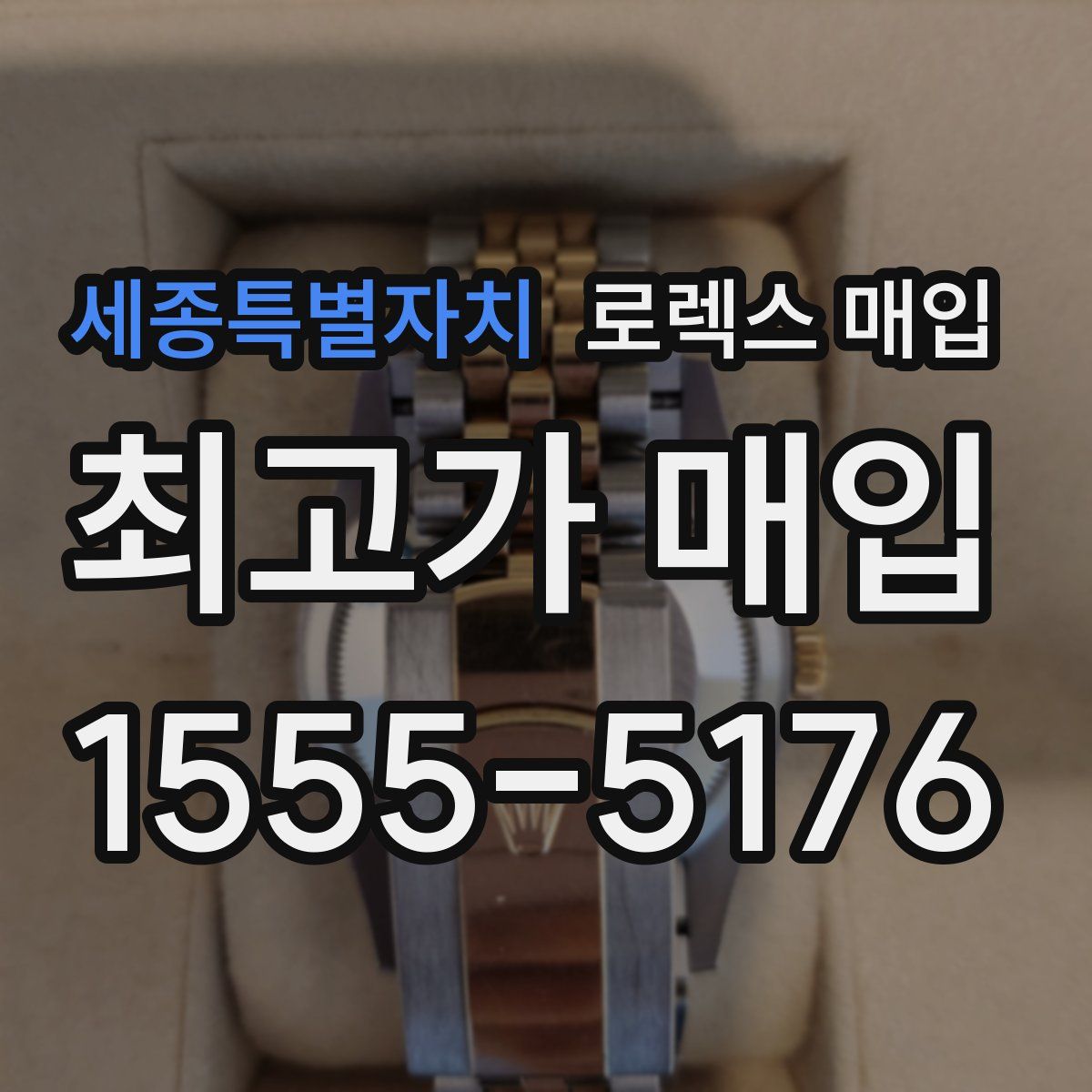 세종특별자치 로렉스 매입